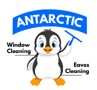 Antarctic Window Cleaning